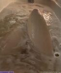 hime_tsu exclusive onlyfans leaked nudes